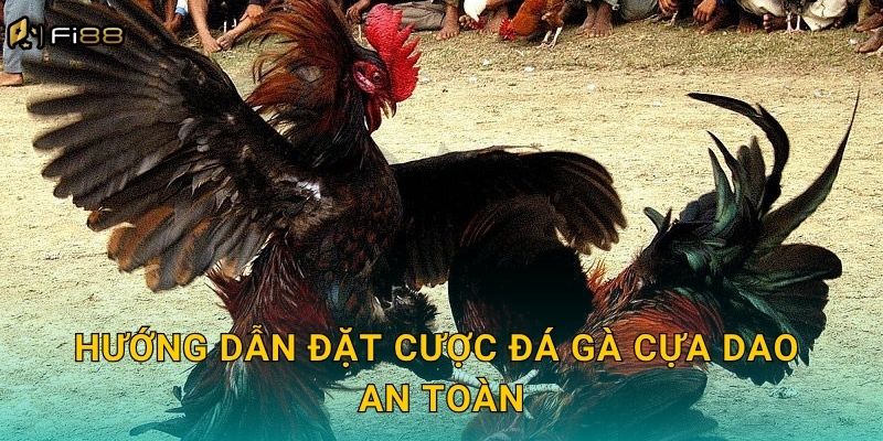 Hướng Dẫn Đặt Cược Đá Gà Cựa Dao An Toàn