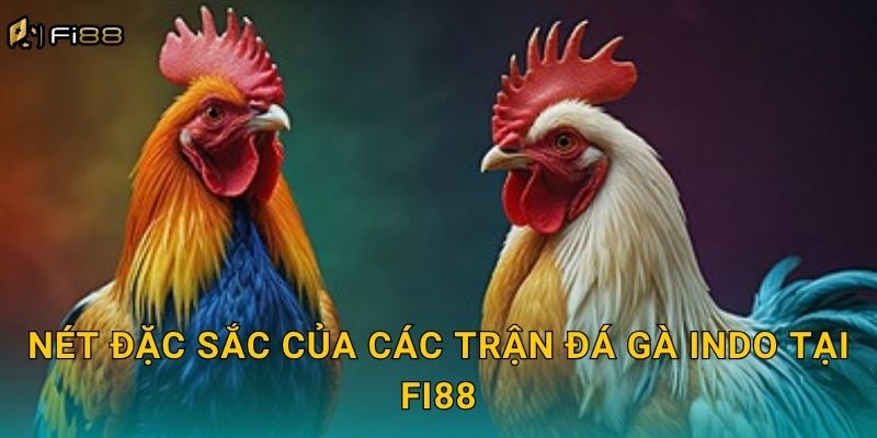 Nét Đặc Sắc Của Các Trận Đá Gà Indo Tại Fi88