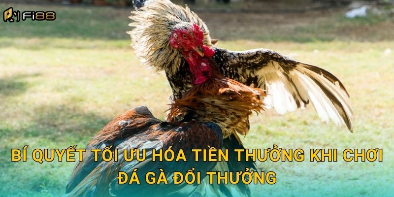 Bí Quyết Tối Ưu Hóa Tiền Thưởng Khi Chơi Đá Gà Đổi Thưởng