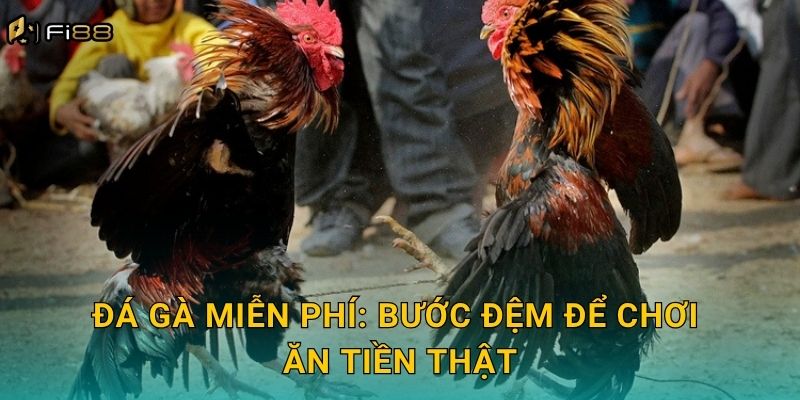 Đá Gà Miễn Phí: Bước Đệm Để Chơi Ăn Tiền Thật